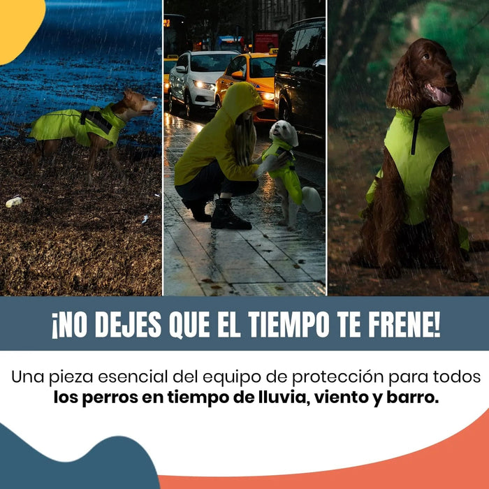 Capa / Blusão de chuva refletora e impermeável para cães, com abertura para arnês, para cães pequenos, médios e grandes - PetDoctors - Loja Online