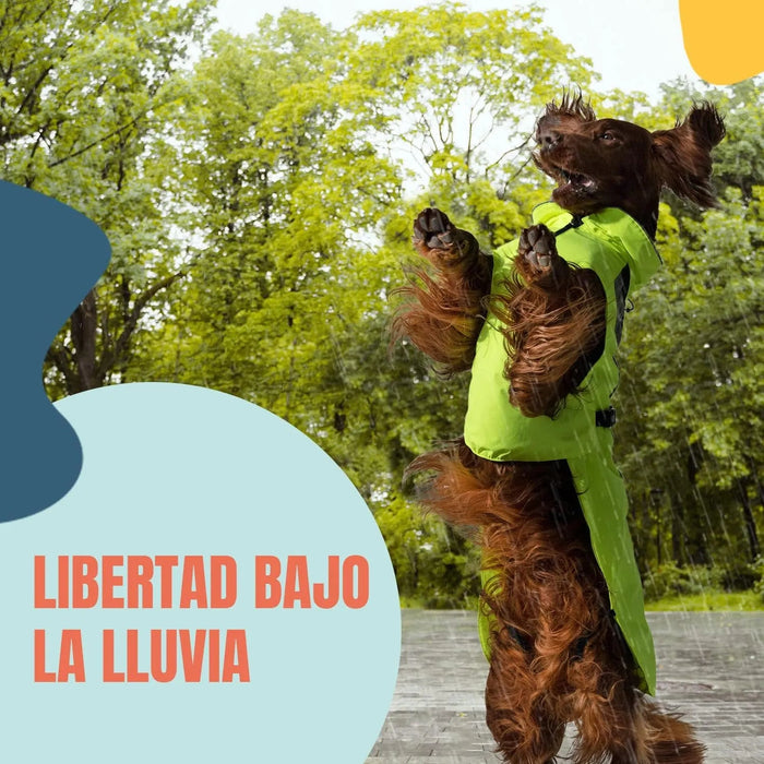 Capa / Blusão de chuva refletora e impermeável para cães, com abertura para arnês, para cães pequenos, médios e grandes - PetDoctors - Loja Online