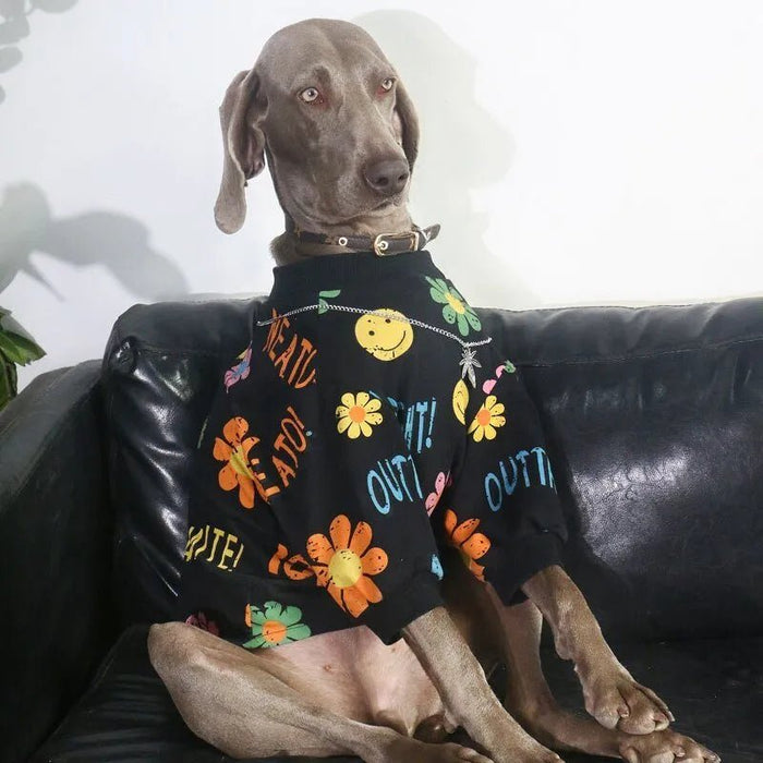Capa / Camisola para Cães - PetDoctors - Loja Online
