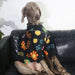 Capa / Camisola para Cães - PetDoctors - Loja Online