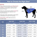 Capa de chuva / casaco impermeável de Outono / Inverno, com arnês para cão médio ou grande - PetDoctors - Loja Online
