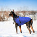 Capa de chuva / casaco impermeável de Outono / Inverno, com arnês para cão médio ou grande - PetDoctors - Loja Online