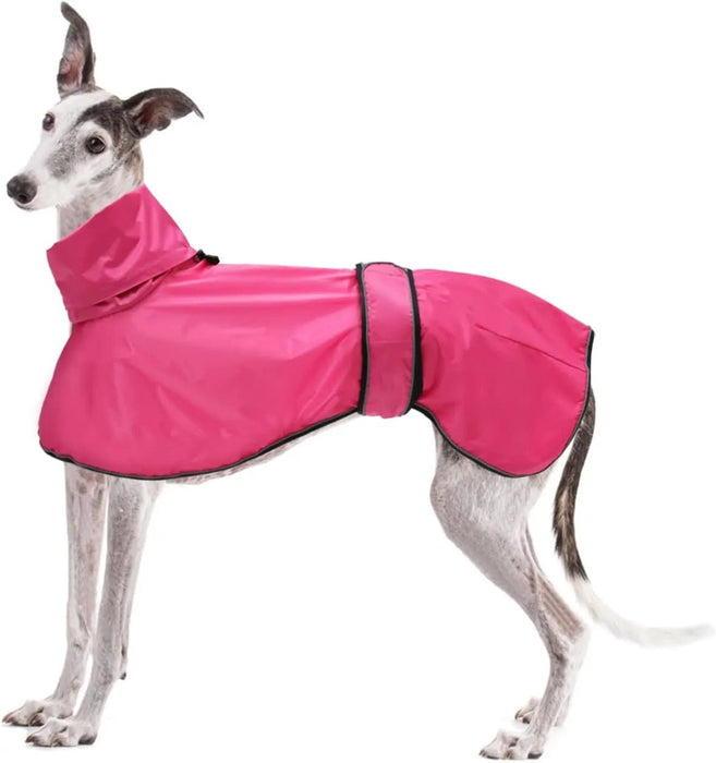 Capa de chuva leve para cães, com correias refletoras e orifício para arnês, ideal para Lurcher e Whippet - PetDoctors - Loja Online