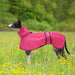 Capa de chuva leve para cães, com correias refletoras e orifício para arnês, ideal para Lurcher e Whippet - PetDoctors - Loja Online