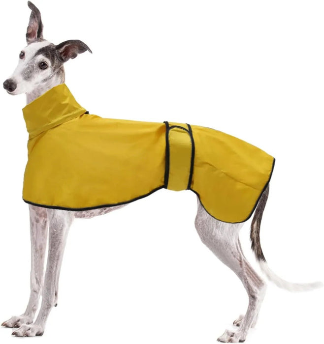 Capa de chuva leve para cães, com correias refletoras e orifício para arnês, ideal para Lurcher e Whippet - PetDoctors - Loja Online