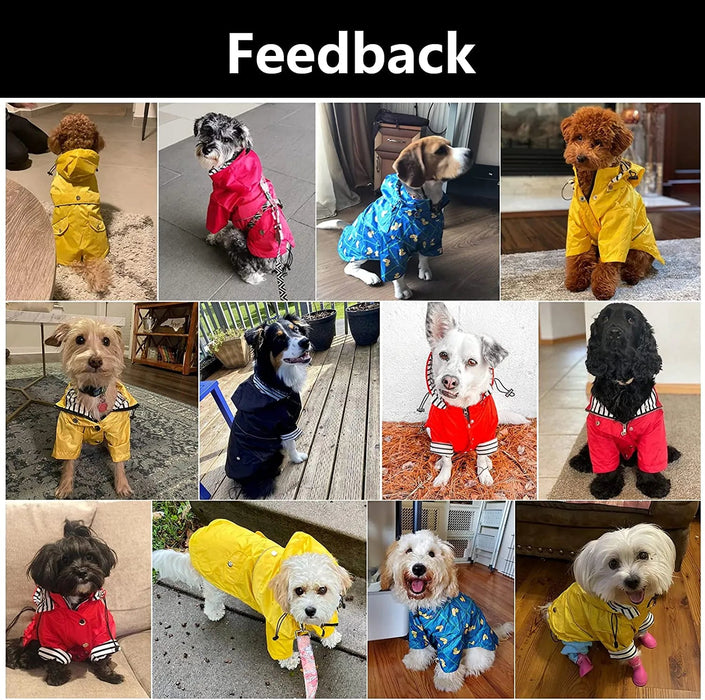 Capa de chuva para cães com fecho de correr e botões refletores, resistente ao vento e à chuva, cordão ajustável, capuz removível - PetDoctors - Loja Online