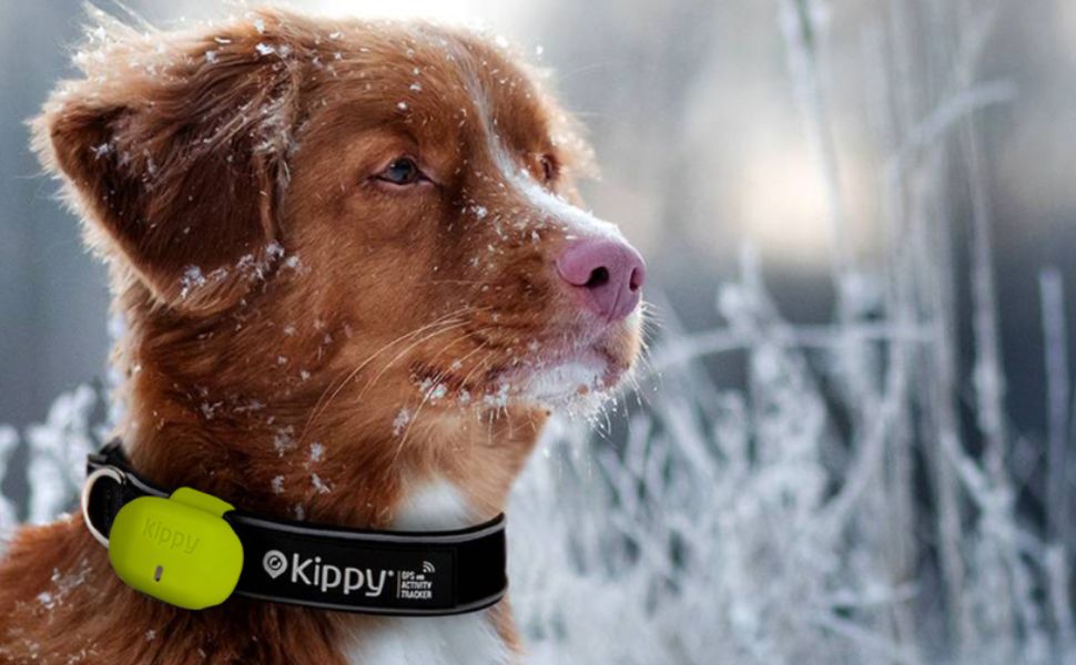 Capa de silicone de proteção para localizador GPS para cães e gatos EVO com fecho de botão - capa para fixar a coleira e arnês - PetDoctors - Loja Online