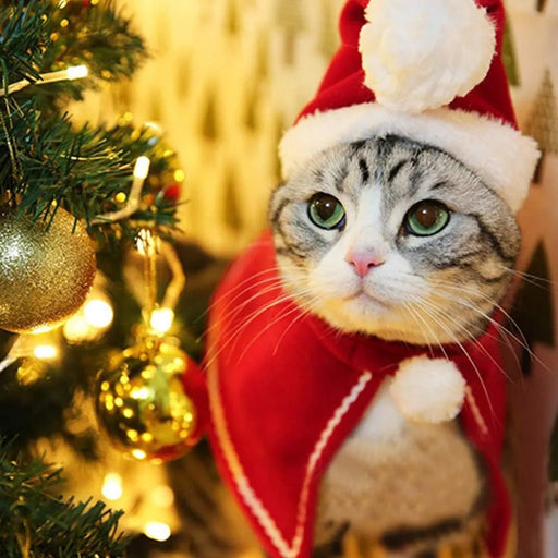 Capa e Capuz de Natal para Gatos ou Cães Pequenos - PetDoctors - Loja Online