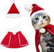 Capa e Capuz de Natal para Gatos ou Cães Pequenos - PetDoctors - Loja Online