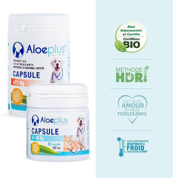 Cápsulas para cães e gatos até 10 kg - Suplemento natural à base de aloé arborescens orgânico, para o bem - estar de cães e gatos - PetDoctors - Loja Online