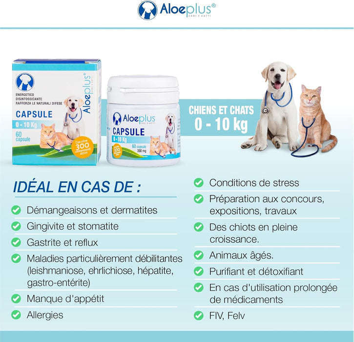 Cápsulas para cães e gatos até 10 kg - Suplemento natural à base de aloé arborescens orgânico, para o bem - estar de cães e gatos - PetDoctors - Loja Online