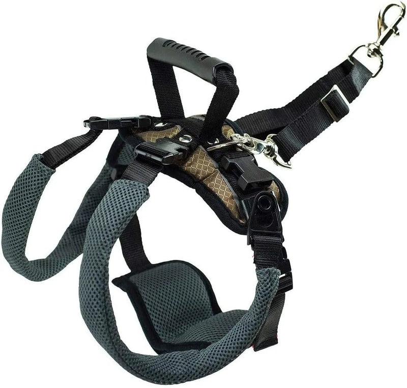 CareLift Arnês de Suporte com alça, para Cães idosos ou doentes, ajuda a levantar o corpo inteiro (PetSafe) - PetDoctors - Loja Online