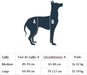 CareLift Arnês de Suporte com alça, para Cães idosos ou doentes, ajuda a levantar o corpo inteiro (PetSafe) - PetDoctors - Loja Online