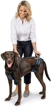 CareLift Arnês de Suporte com alça, para Cães idosos ou doentes, ajuda a levantar o corpo inteiro (PetSafe) - PetDoctors - Loja Online
