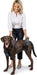 CareLift Arnês de Suporte com alça, para Cães idosos ou doentes, ajuda a levantar o corpo inteiro (PetSafe) - PetDoctors - Loja Online