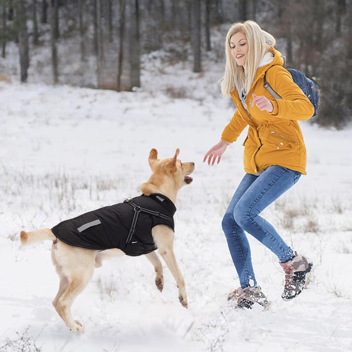 Casaco azul de inverno para cão, impermeável, resistente ao vento, com tiras refletoras seguras e arnês ajustável - PetDoctors - Loja Online