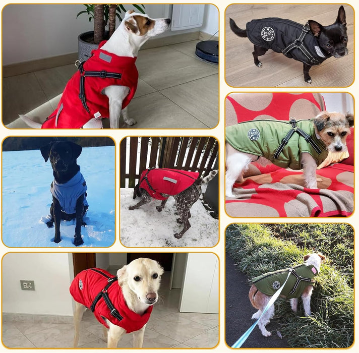 Casaco azul escuro, de inverno, para cão, impermeável, resistente ao vento, com tiras refletoras seguras e arnês ajustável - PetDoctors - Loja Online