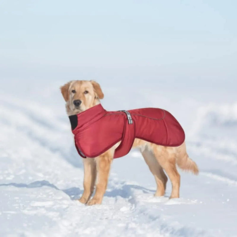 Casaco / Blusão de Outono - Inverno, Impermeável e Quente, para cães - PetDoctors - Loja Online