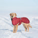 Casaco / Blusão de Outono - Inverno, Impermeável e Quente, para cães - PetDoctors - Loja Online