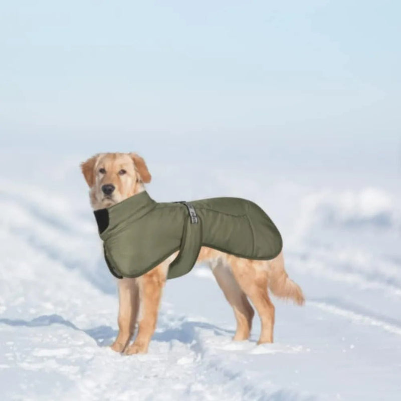 Casaco / Blusão de Outono - Inverno, Impermeável e Quente, para cães - PetDoctors - Loja Online