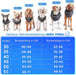 Casaco / Blusão de Outono / Inverno para cães pequenos e médios [quente e resistente à água] - Inclui arnês - PetDoctors - Loja Online