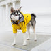 Casaco / Blusão / Gabardine Amarela Impermeável para Cães - PetDoctors - Loja Online