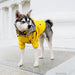 Casaco / Blusão / Gabardine Amarela Impermeável para Cães - PetDoctors - Loja Online