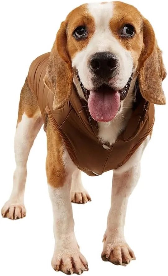 Casaco Blusão Impermeável e Quente para Cães - PetDoctors - Loja Online