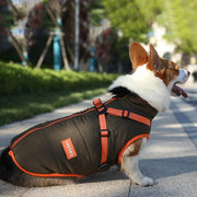 Casaco / Blusão Impermeável e quente, para cães pequenos e médios - PetDoctors - Loja Online