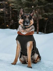 Casaco / Blusão Impermeável e Quente, Verde Oliva, para Cães Médios e Grandes - PetDoctors - Loja Online