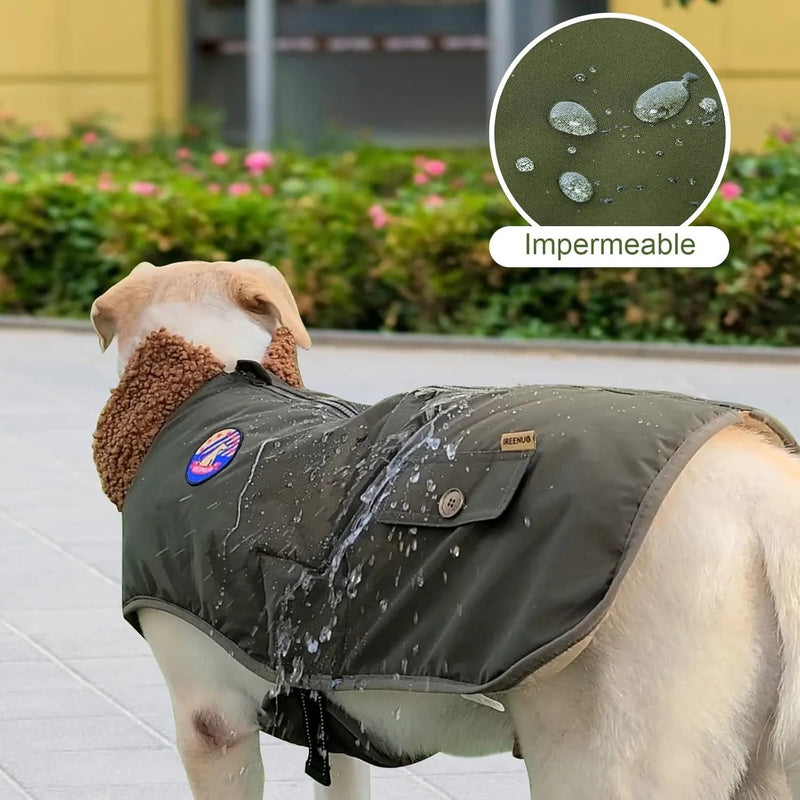 Casaco / Blusão Impermeável e Quente, Verde Oliva, para Cães Médios e Grandes - PetDoctors - Loja Online