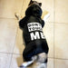 Casaco / Blusão Impermeável para Cães de Raças Médias e Grandes - PetDoctors - Loja Online