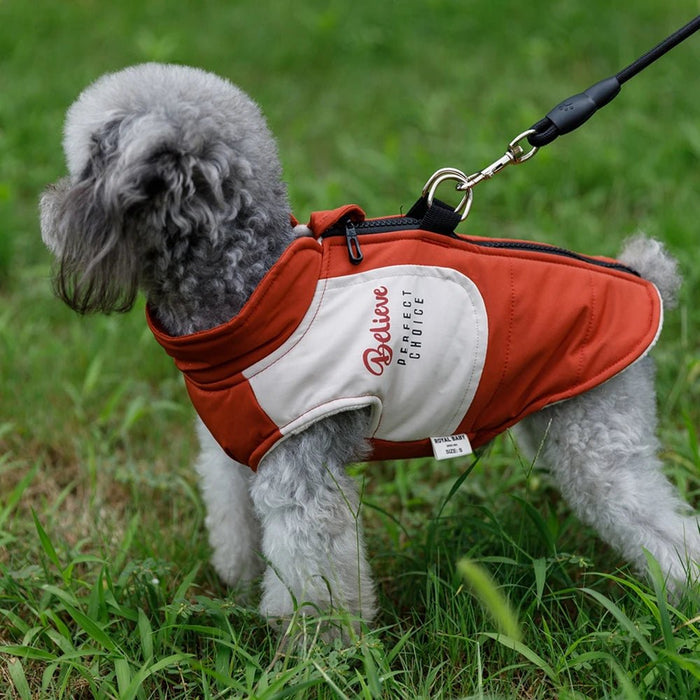 Casaco / Blusão Quente e impermeável, com trela, para Cães Pequenos e Médios - PetDoctors - Loja Online