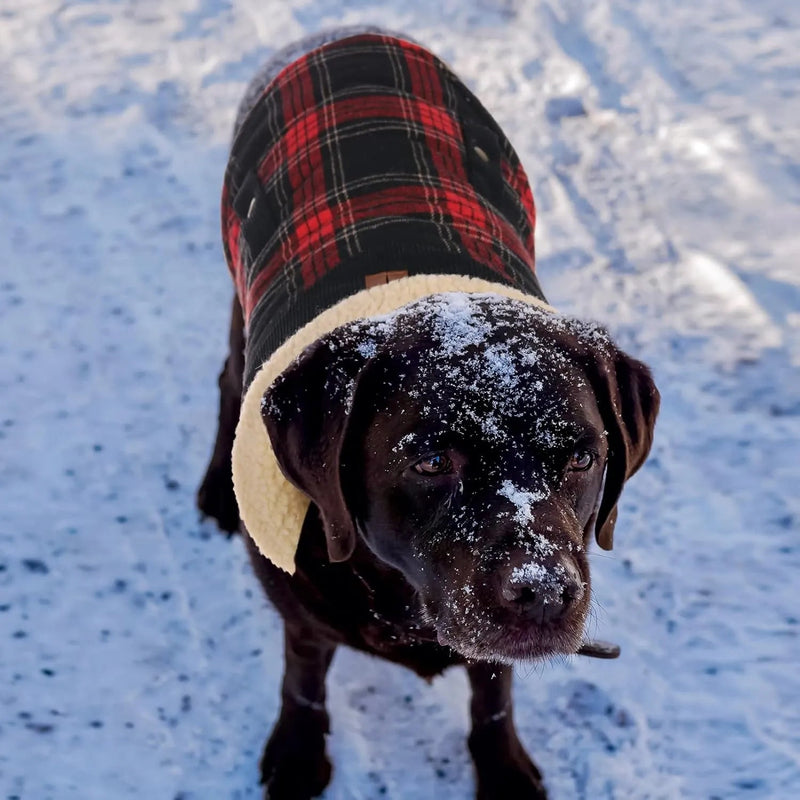Casaco de Inverno para cão - colete polar grosso com estampado tartã - ideal para o Natal - PetDoctors - Loja Online