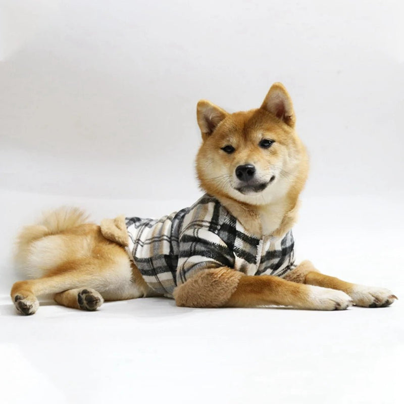 Casaco de Inverno Xadrez para Cães Pequenos - PetDoctors - Loja Online