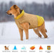 Casaco impermeável para cães, casaco quente de inverno, para cães pequenos médios grandes com orifício para arnês - PetDoctors - Loja Online