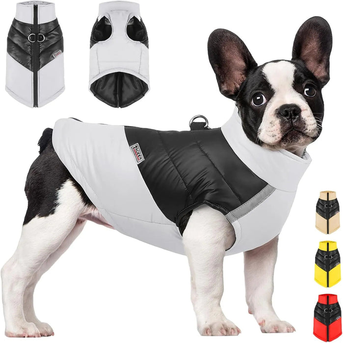 Casaco para cães à prova de água, casaco quente de inverno para cães pequenos, médios, para clima frio - PetDoctors - Loja Online