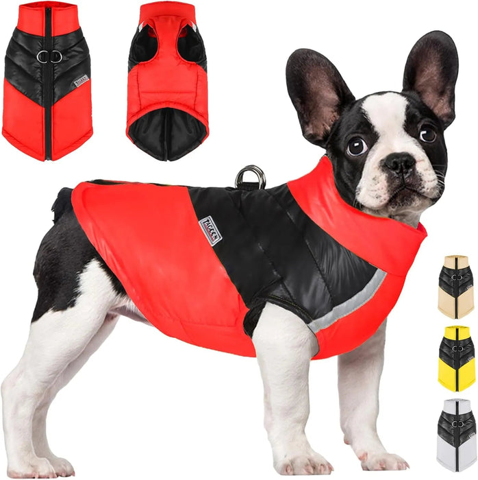 Casaco para cães à prova de água, casaco quente de inverno para cães pequenos, médios, para clima frio - PetDoctors - Loja Online
