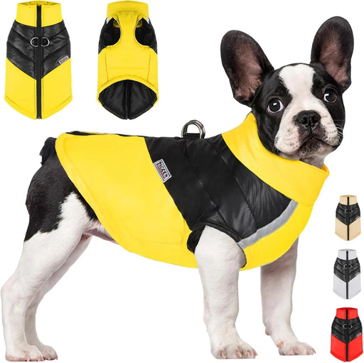 Casaco para cães à prova de água, casaco quente de inverno para cães pequenos, médios, para clima frio - PetDoctors - Loja Online