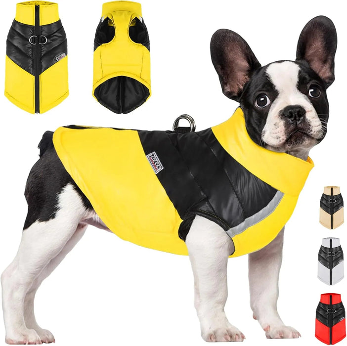 Casaco para cães à prova de água, casaco quente de inverno para cães pequenos, médios, para clima frio - PetDoctors - Loja Online