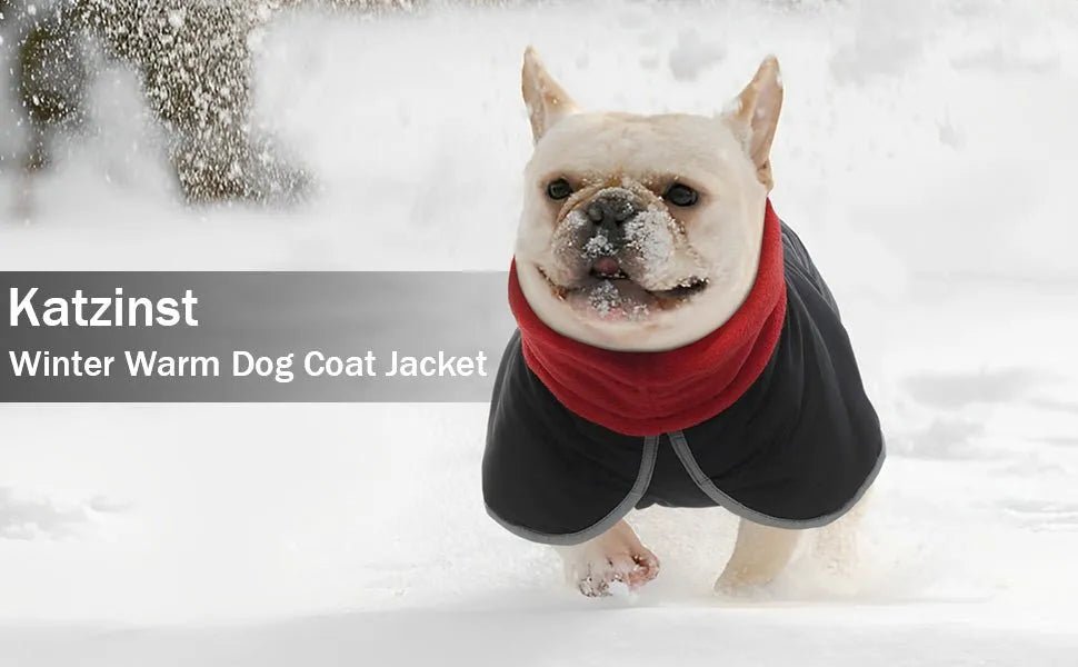 Casaco para cães, casaco impermeável de outono/inverno, com tiras refletoras, cintura ajustável, quente e confortável - PetDoctors - Loja Online