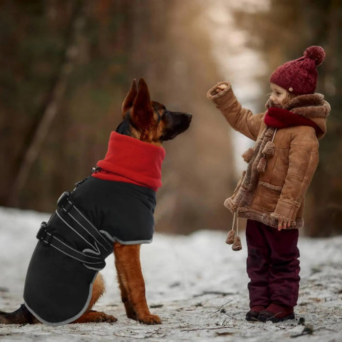 Casaco para cães, casaco impermeável de outono/inverno, com tiras refletoras, cintura ajustável, quente e confortável - PetDoctors - Loja Online