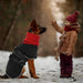 Casaco para cães, casaco impermeável de outono/inverno, com tiras refletoras, cintura ajustável, quente e confortável - PetDoctors - Loja Online