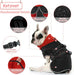 Casaco para cães, casaco impermeável de outono/inverno, com tiras refletoras, cintura ajustável, quente e confortável - PetDoctors - Loja Online