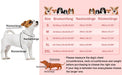 Casaco para cães, casaco impermeável de outono/inverno, com tiras refletoras, cintura ajustável, quente e confortável - PetDoctors - Loja Online