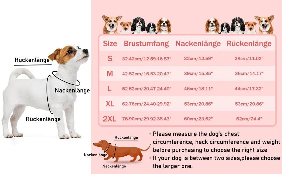 Casaco para cães, casaco impermeável de outono/inverno, com tiras refletoras, cintura ajustável, quente e confortável - PetDoctors - Loja Online