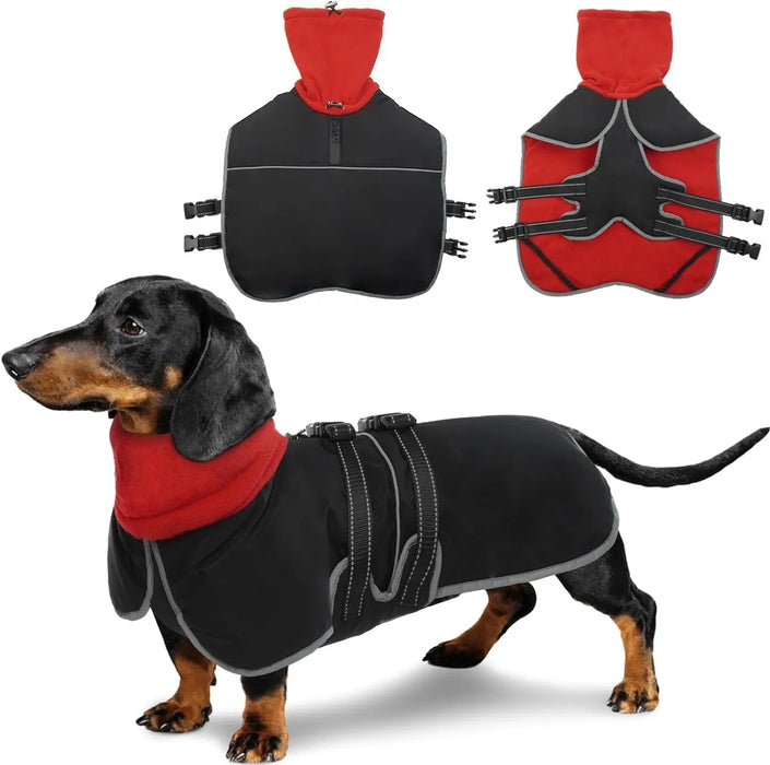 Casaco para cães, casaco impermeável de outono/inverno, com tiras refletoras, cintura ajustável, quente e confortável - PetDoctors - Loja Online