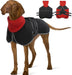 Casaco para cães, casaco impermeável de outono/inverno, com tiras refletoras, cintura ajustável, quente e confortável - PetDoctors - Loja Online