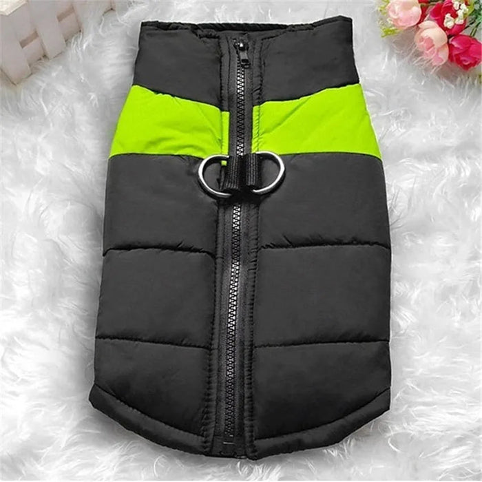 Casaco Protetor para Cães - Casaco de Inverno Impermeável (chuva) - PetDoctors - Loja Online