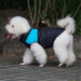 Casaco Protetor para Cães - Casaco de Inverno Impermeável (chuva) - PetDoctors - Loja Online